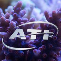 ATIaquaristik