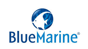 Bluemarine